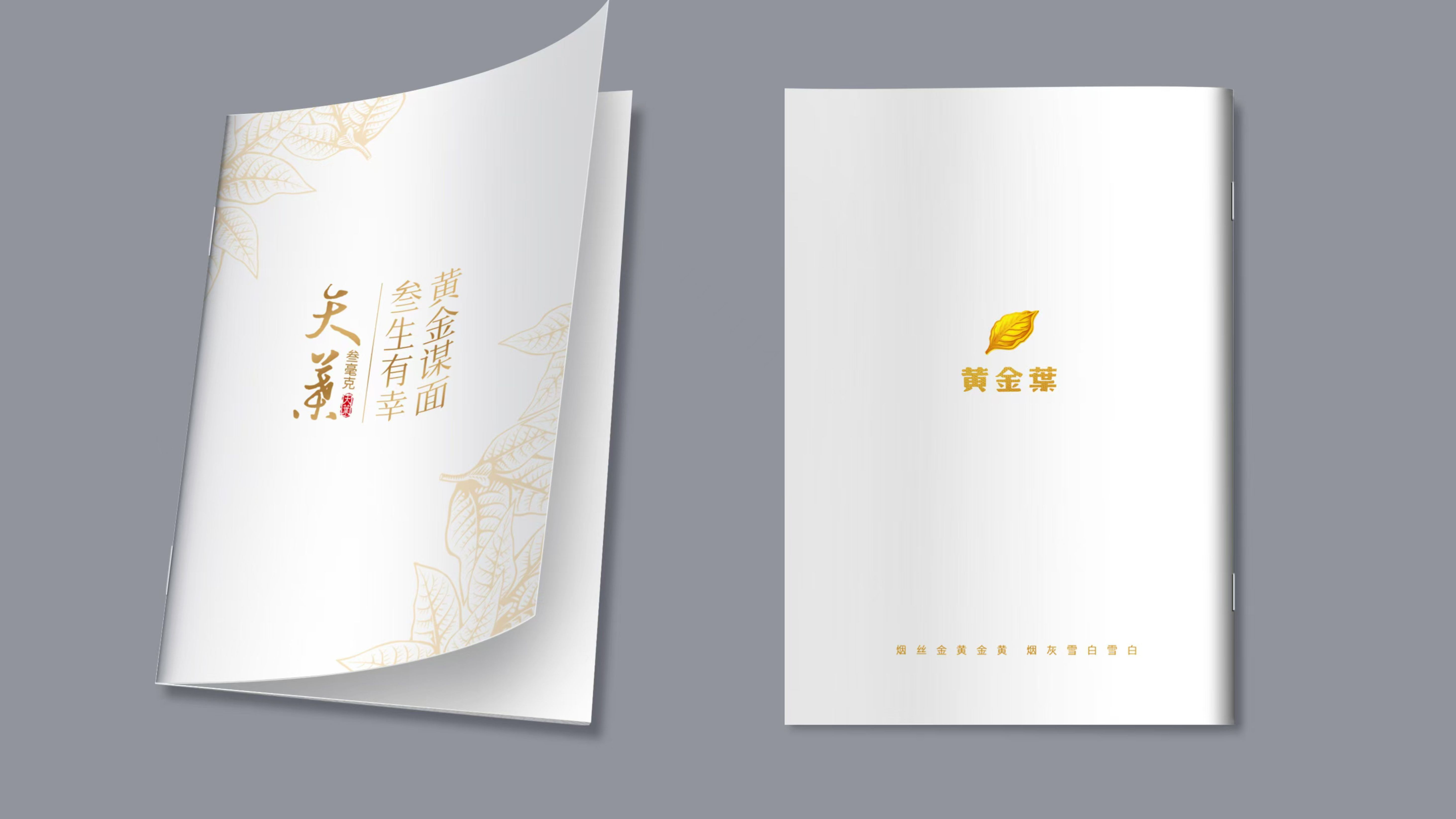 栏目背景图